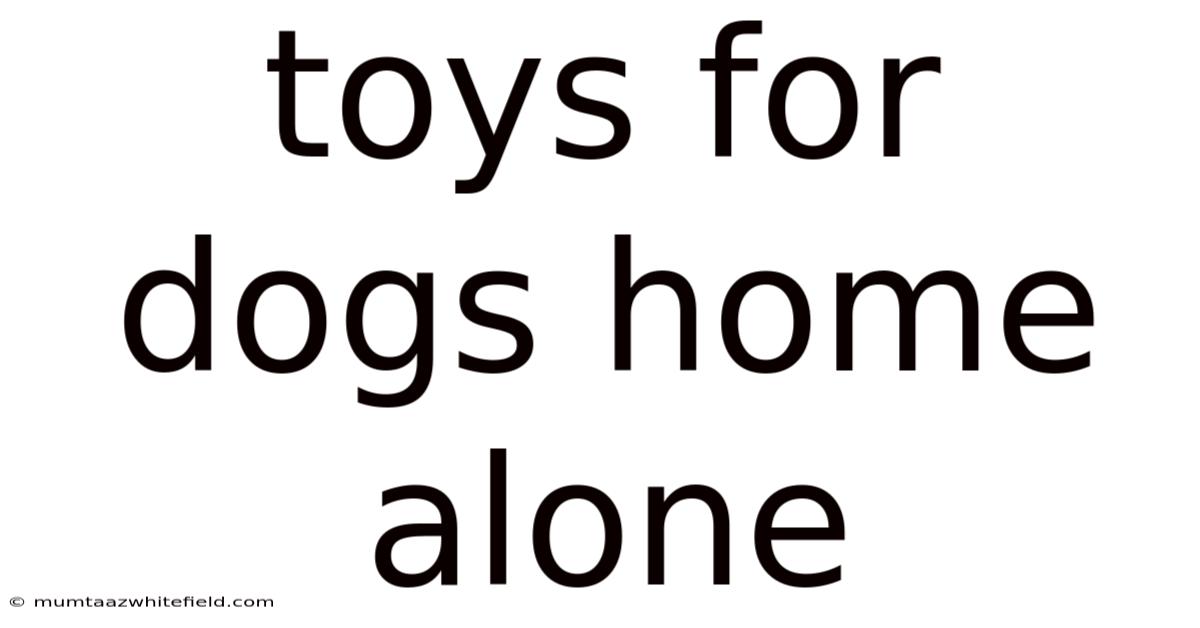 Toys For Dogs Home Alone