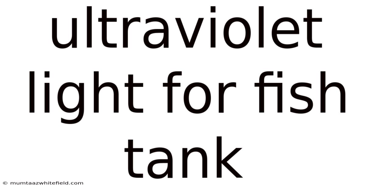 Ultraviolet Light For Fish Tank
