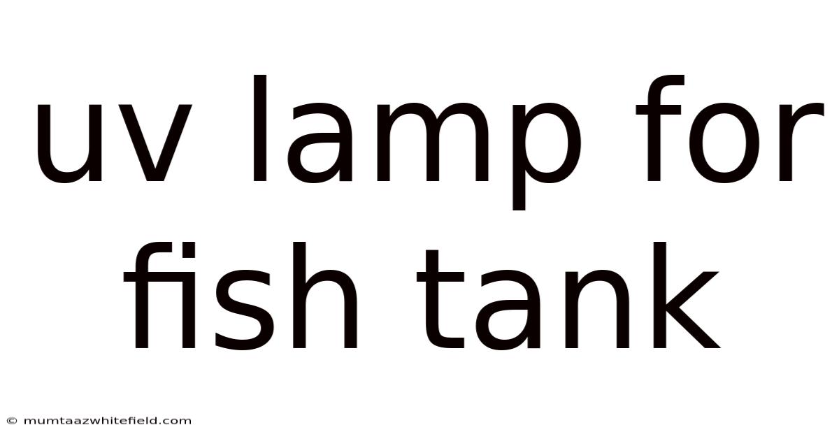 Uv Lamp For Fish Tank