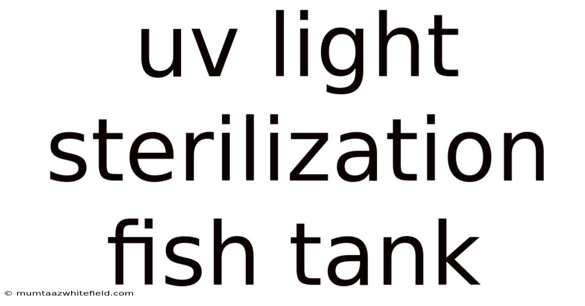 Uv Light Sterilization Fish Tank