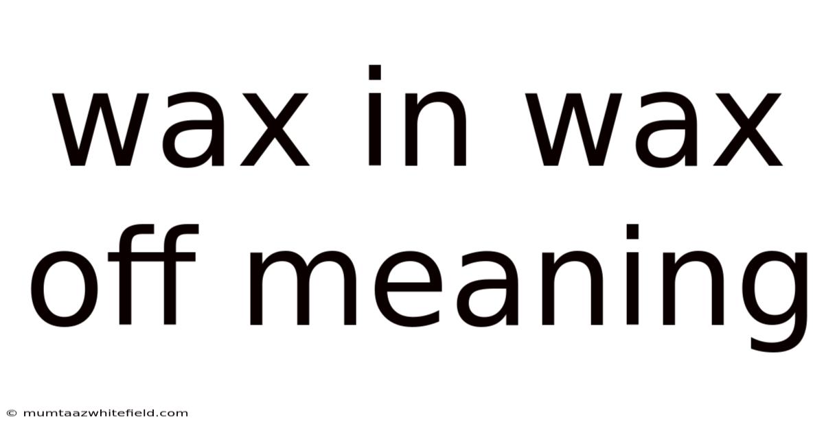 Wax In Wax Off Meaning