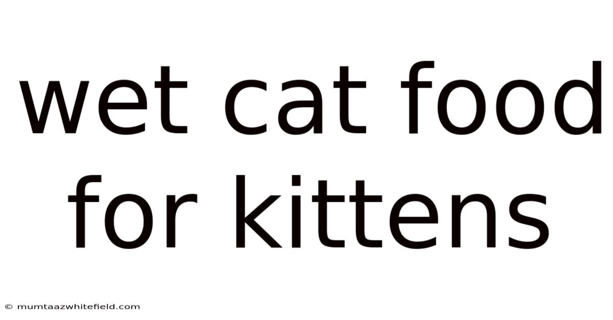Wet Cat Food For Kittens