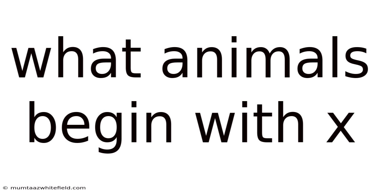 What Animals Begin With X