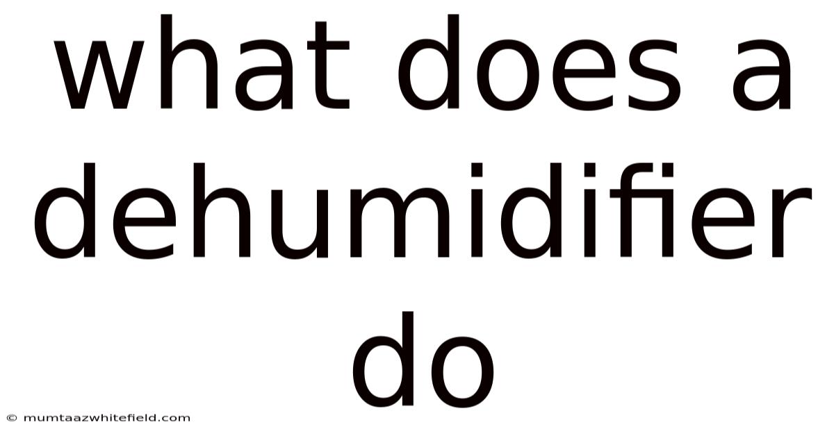 What Does A Dehumidifier Do