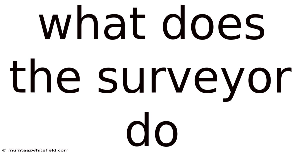 What Does The Surveyor Do