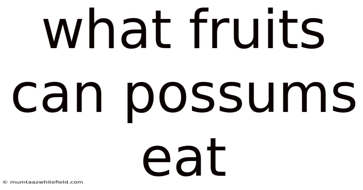 What Fruits Can Possums Eat