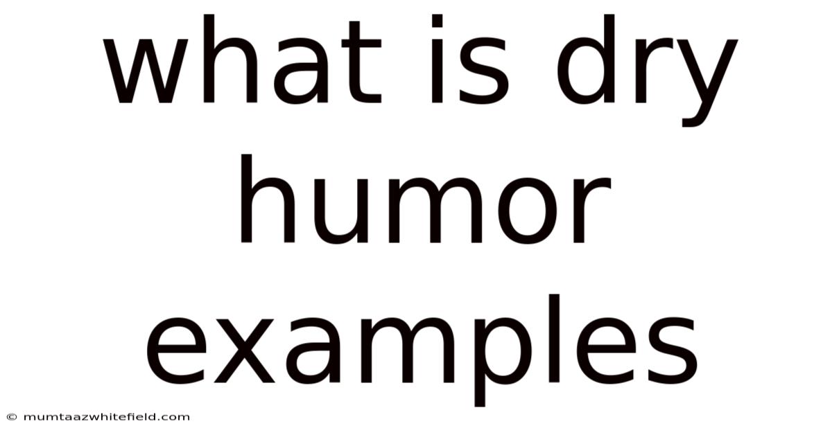 What Is Dry Humor Examples