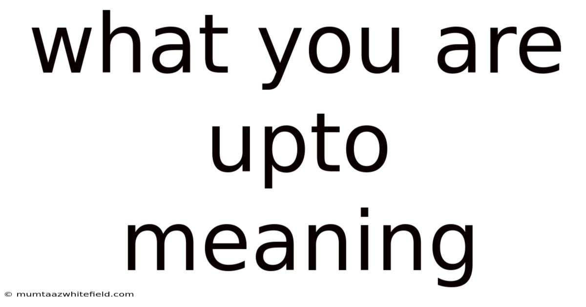 What You Are Upto Meaning