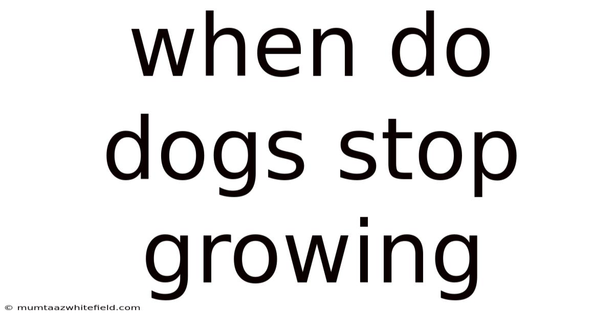 When Do Dogs Stop Growing