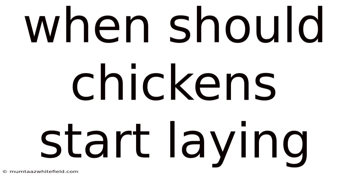 When Should Chickens Start Laying
