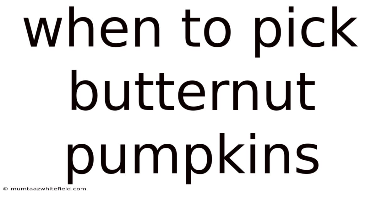When To Pick Butternut Pumpkins