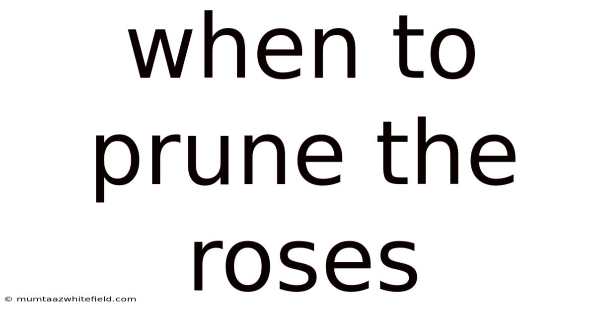 When To Prune The Roses