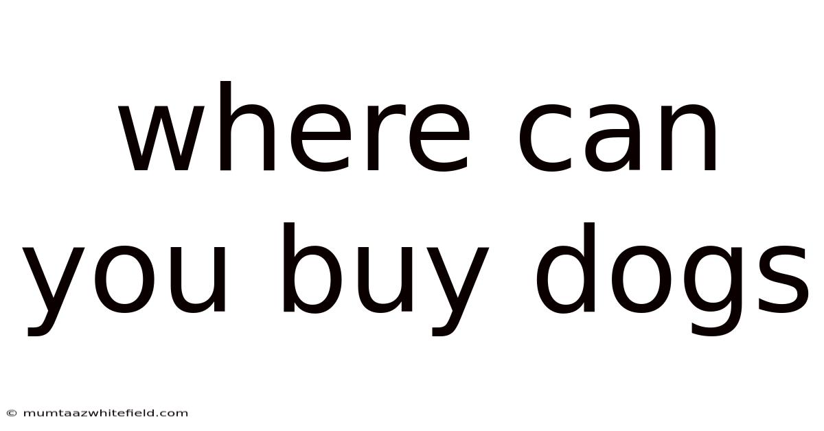 Where Can You Buy Dogs