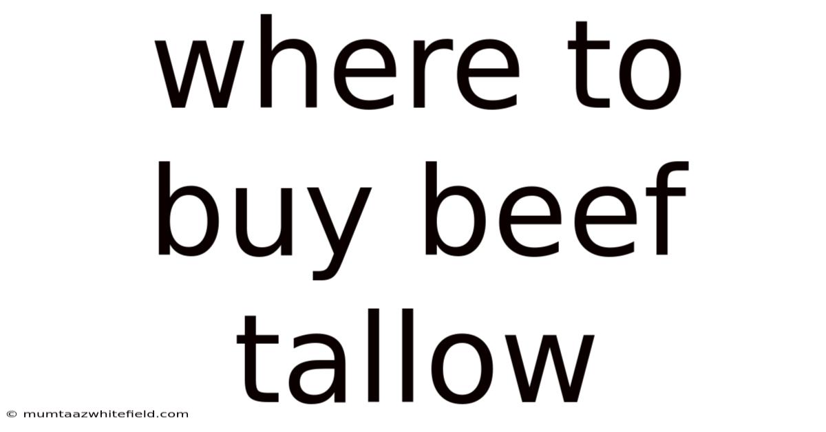 Where To Buy Beef Tallow