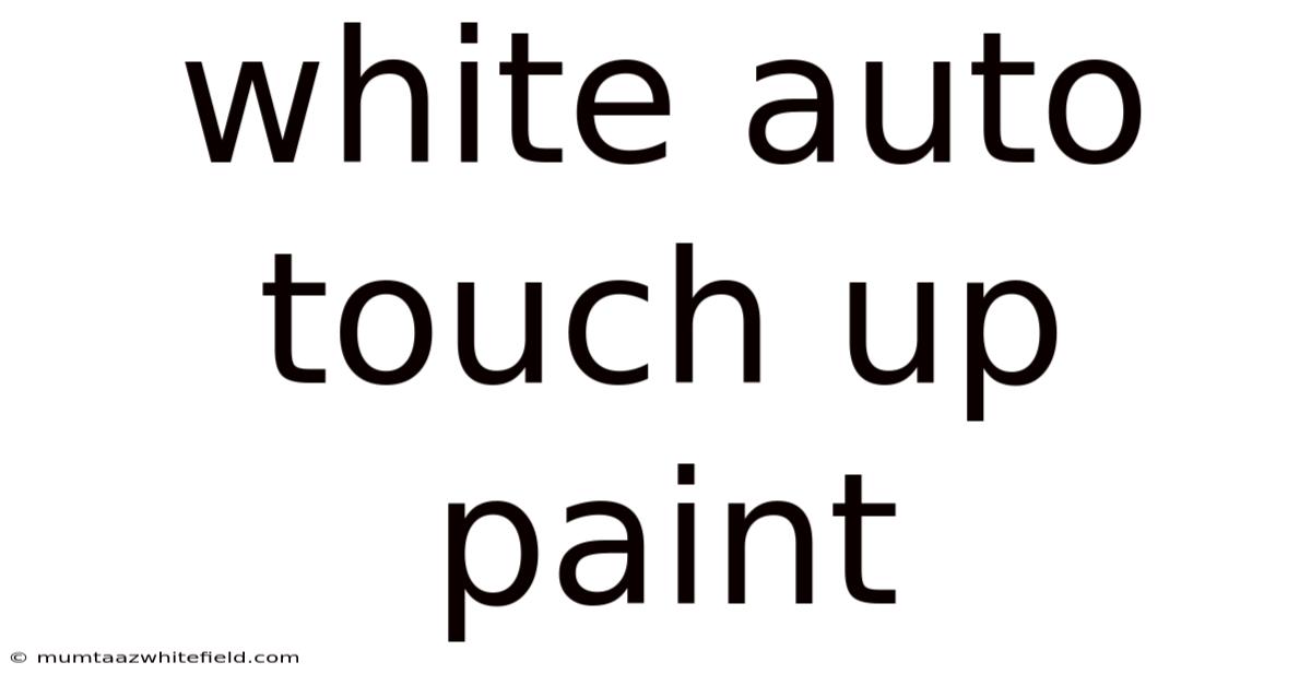 White Auto Touch Up Paint