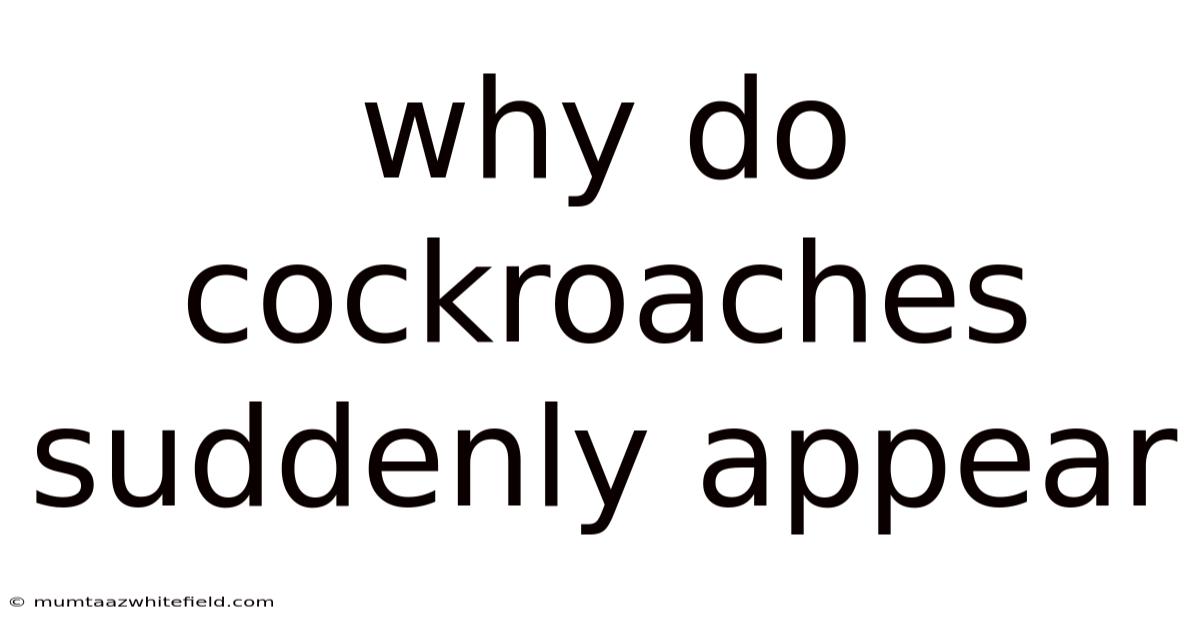 Why Do Cockroaches Suddenly Appear
