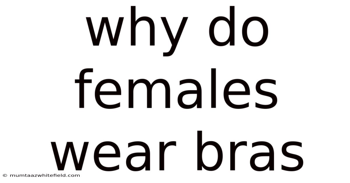 Why Do Females Wear Bras