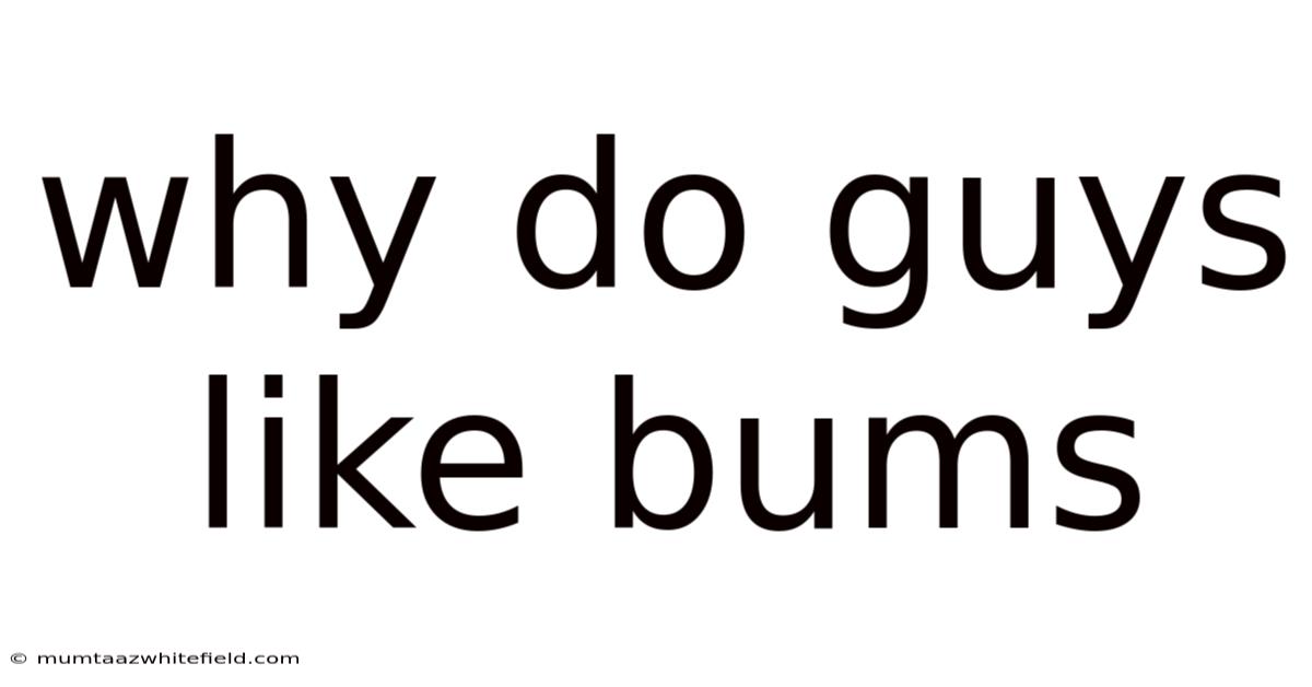 Why Do Guys Like Bums