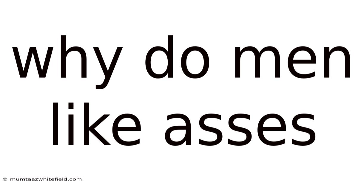 Why Do Men Like Asses