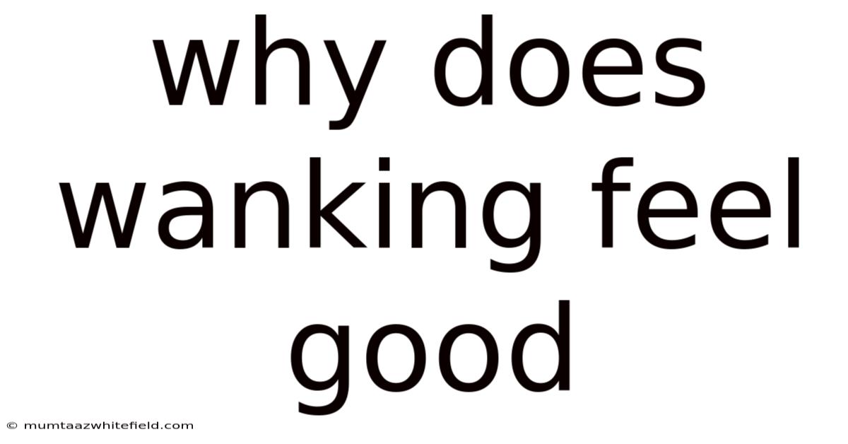 Why Does Wanking Feel Good