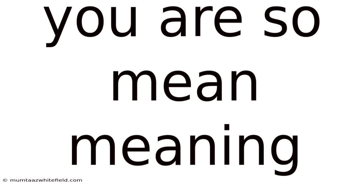 You Are So Mean Meaning